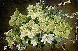 Cecil, Paintings - Still Life with Poinsettias and Fruit Blossom by Cecil Kennedy